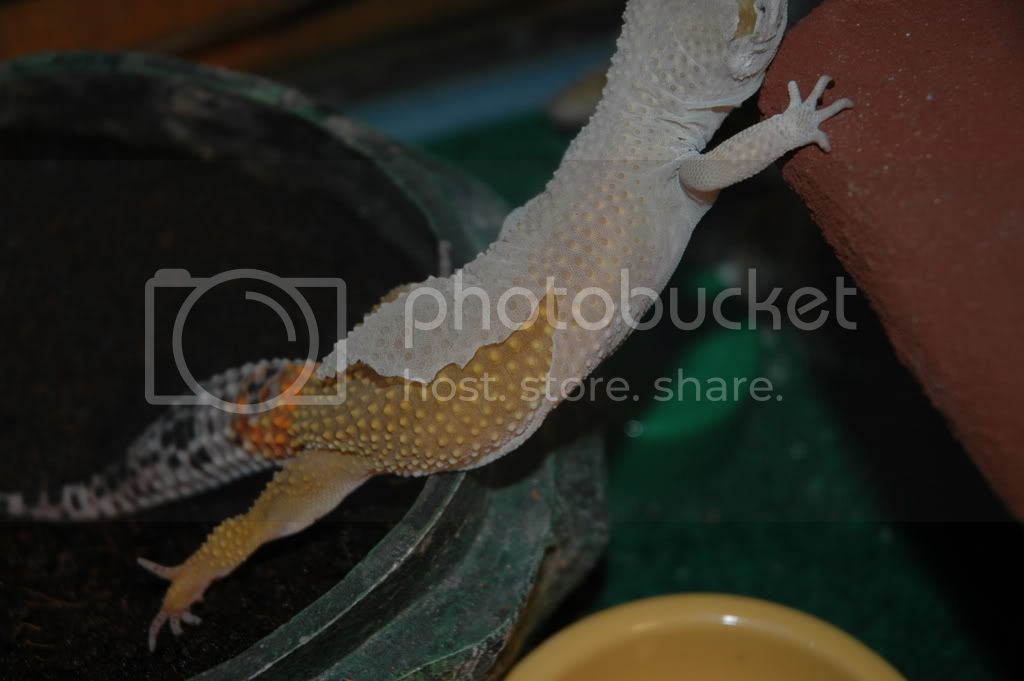 DSC_0874.jpg