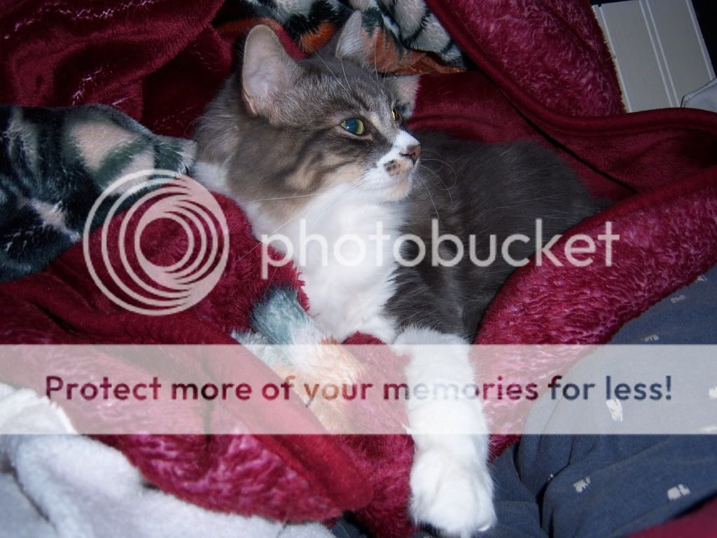 100_6739.jpg
