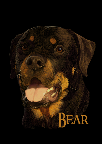 bear_finished_by_fuzzybuttbunny-d51abws.png