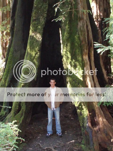 Me_Redwood1.jpg