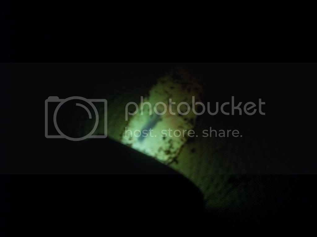 100_2251_March26_2014_Ruby_egg_A2.jpg