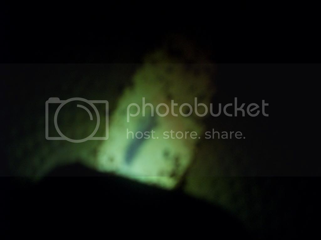 100_2252_March26_2014_Ruby_egg_A2_withVein.jpg
