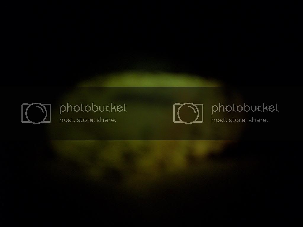 100_2253_March26_2014_Ruby_egg_A2_withVein.jpg