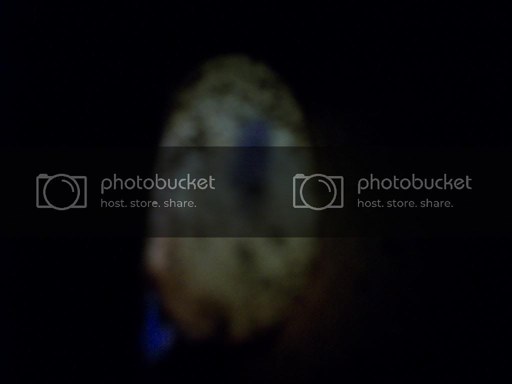 100_2256_March26_2014_Ruby_egg_A1_NoVein.jpg