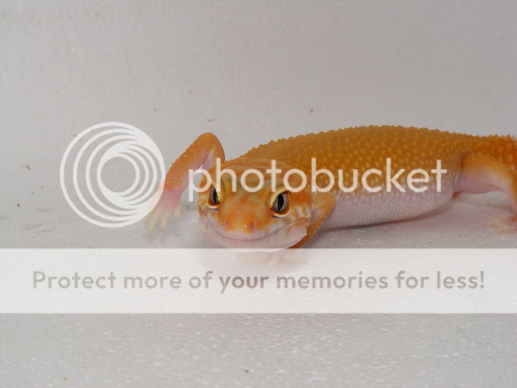 21st%20March%2015%201_zpsdh33p8ro.jpg