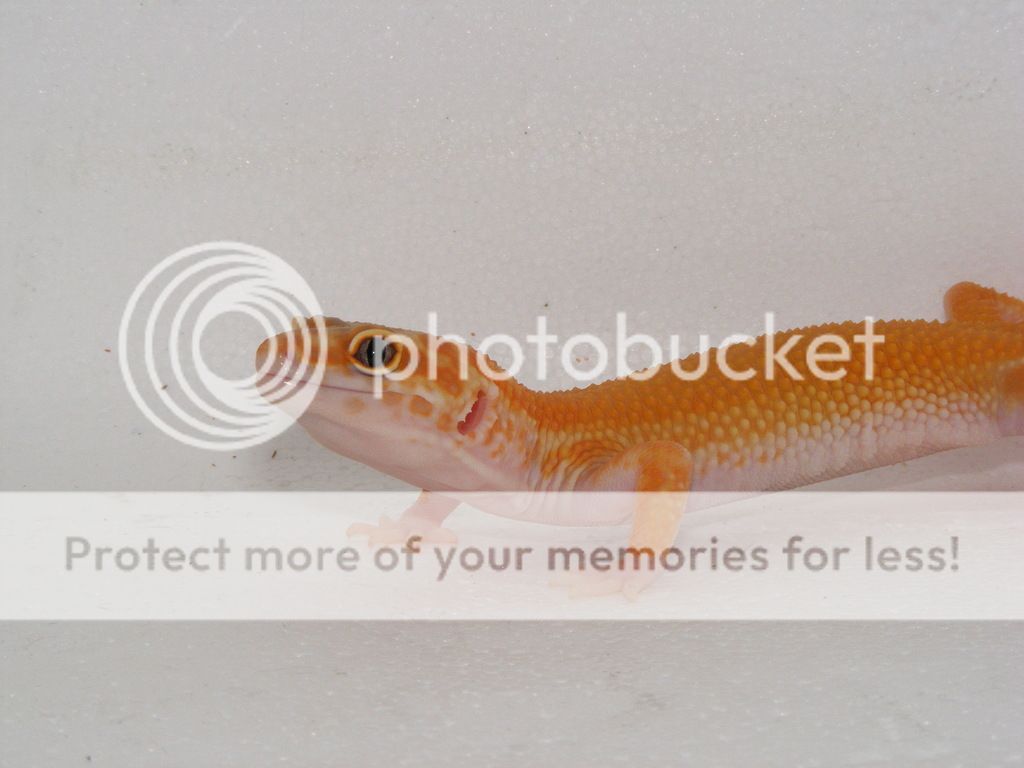 21st%20March%2015%201_zpsps15cjwu.jpg