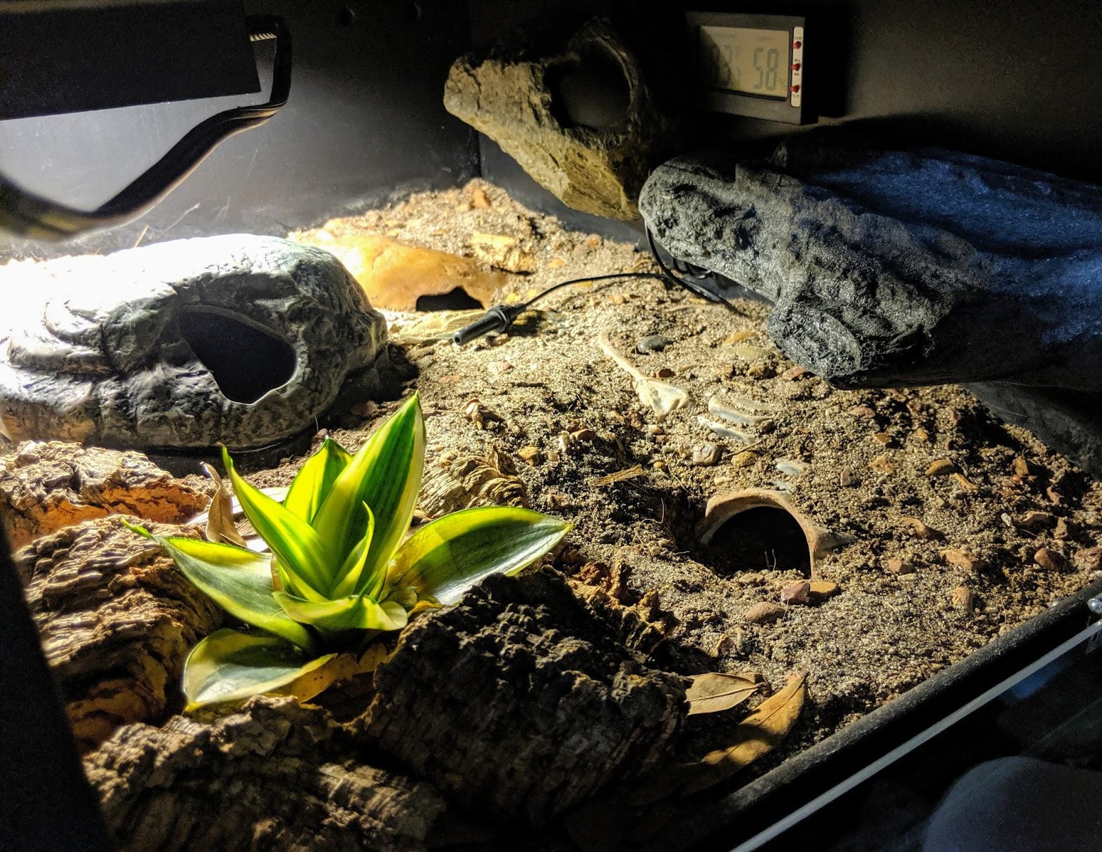 geckotime.com